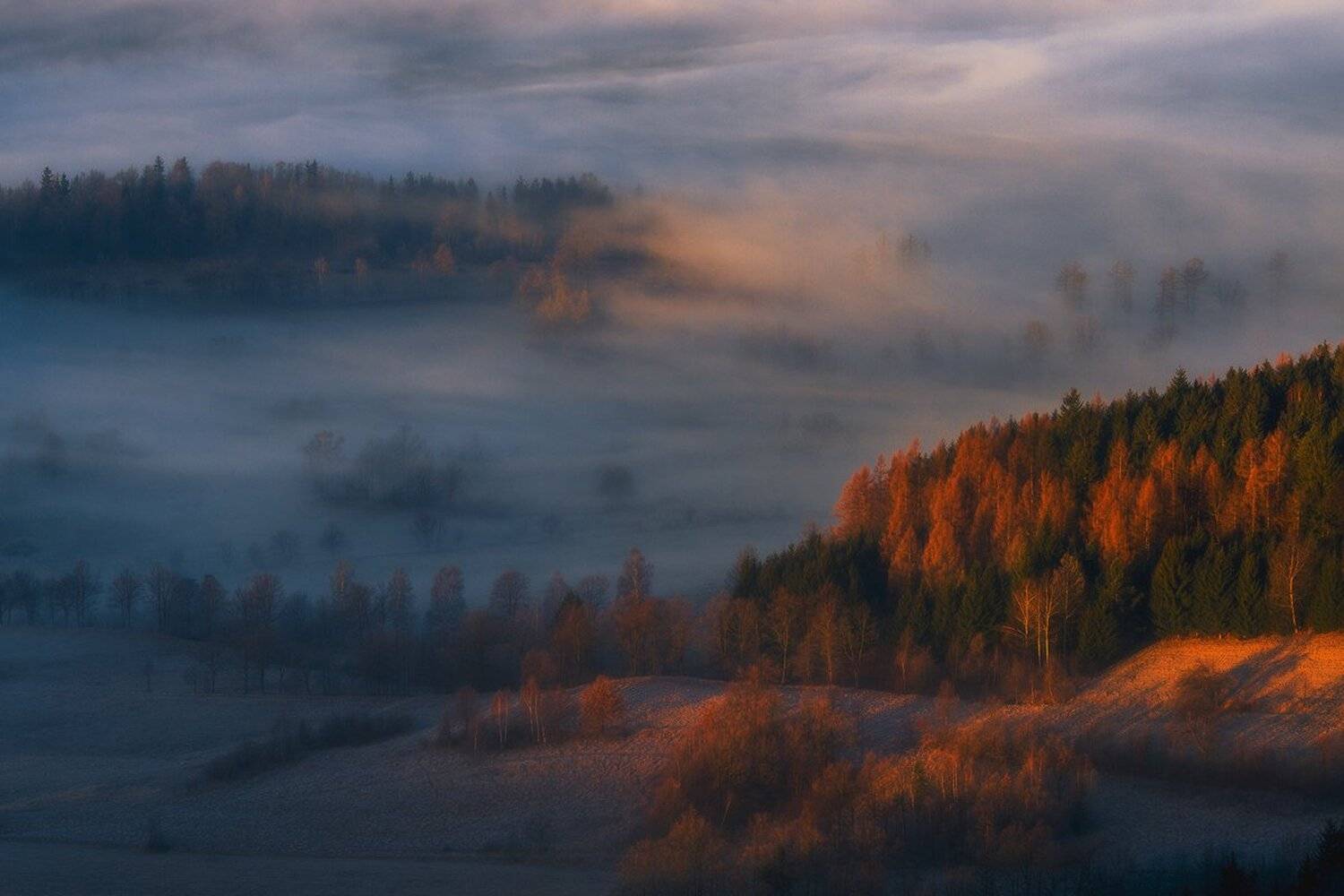 landscape,canon,mist,light,autumn, Iza i Darek Mitręga