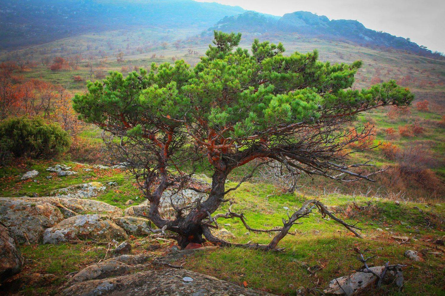 горы,осень,природа., Marat Magov
