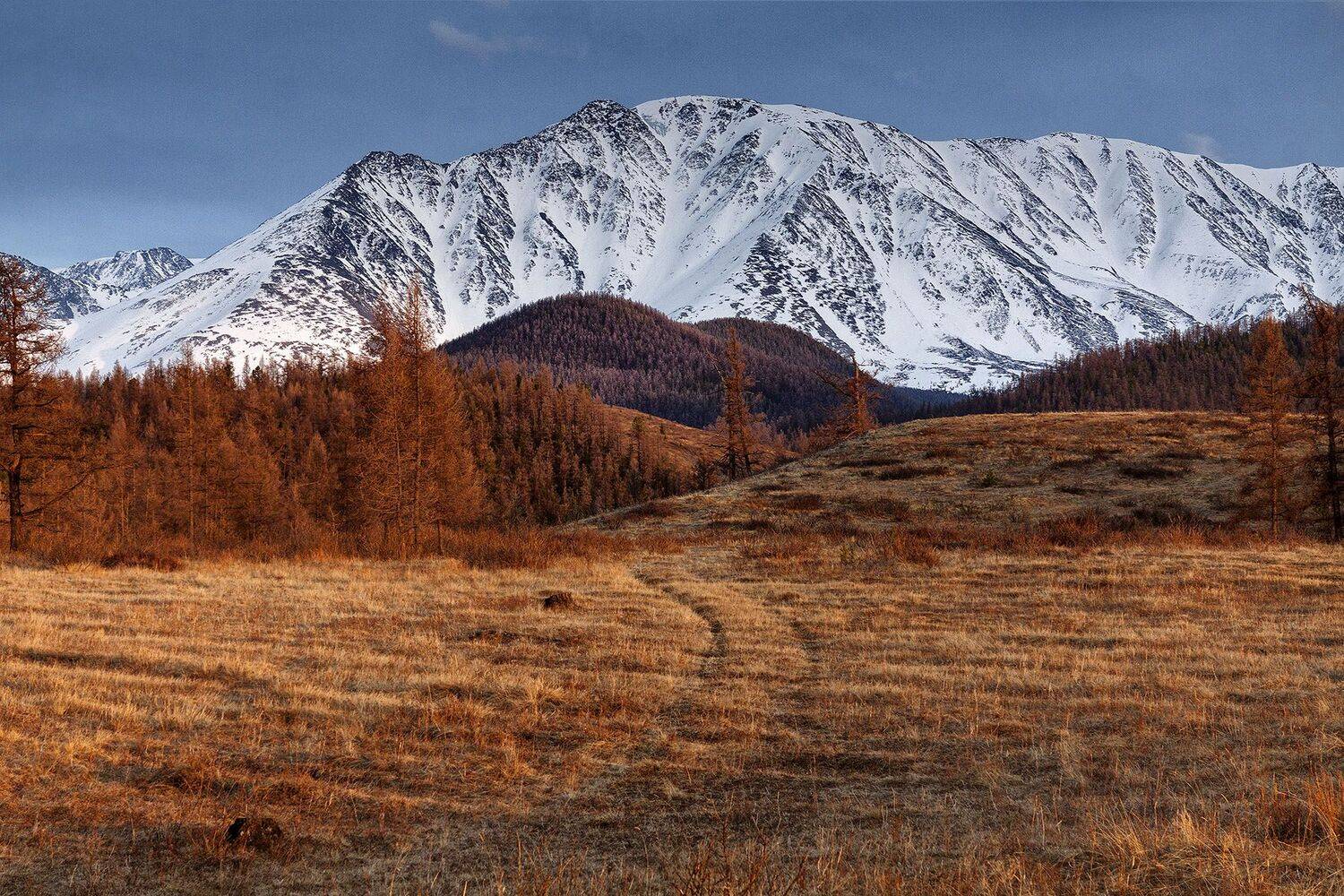 алтай, ледник актру, актру, алтайский край, долина, весна,осень, лиственницы, ледник,ледники, Качурин Алексей