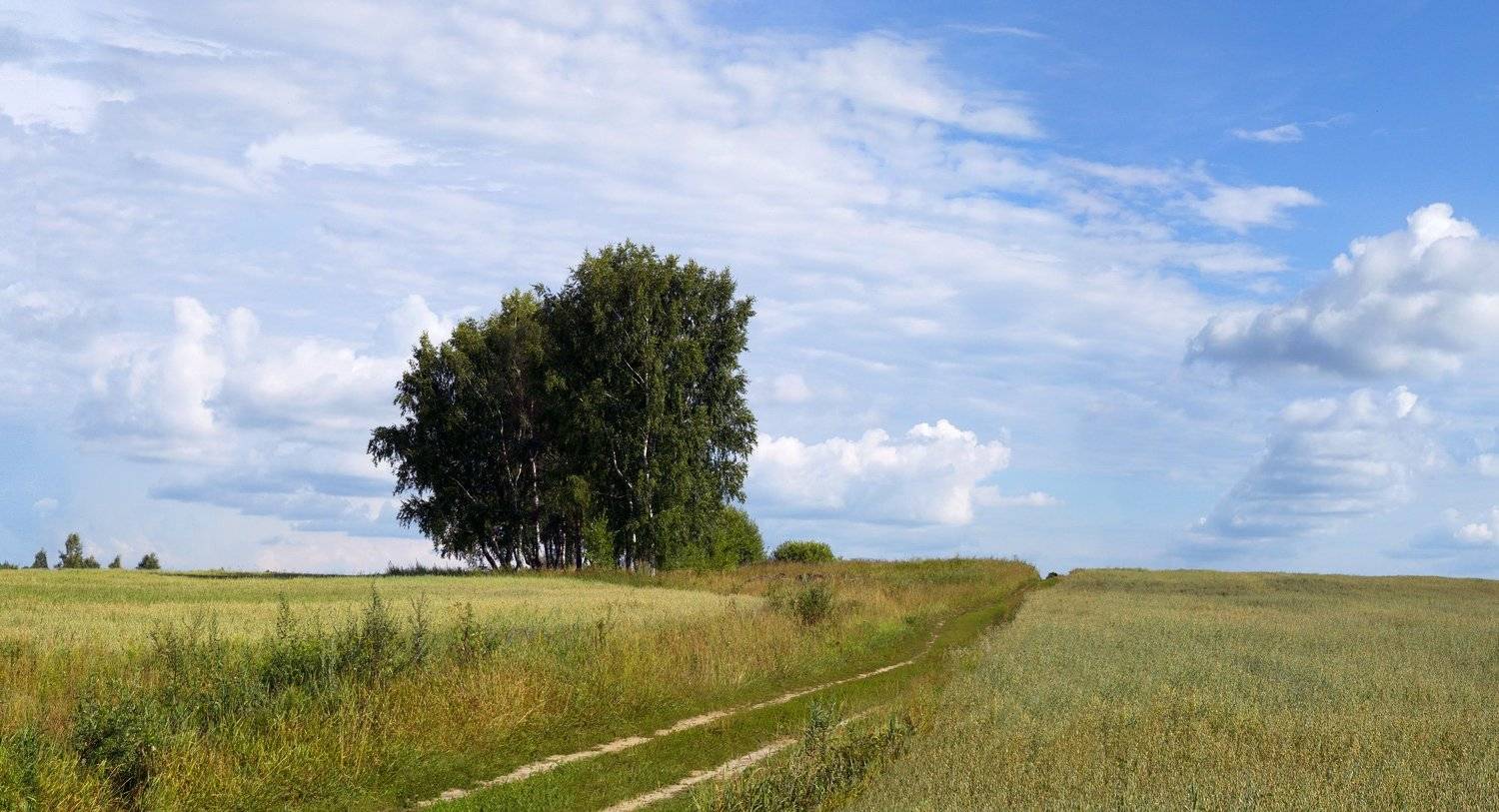 , Герман Корнилов