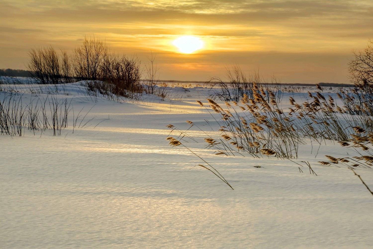 , Михаил Белоусов