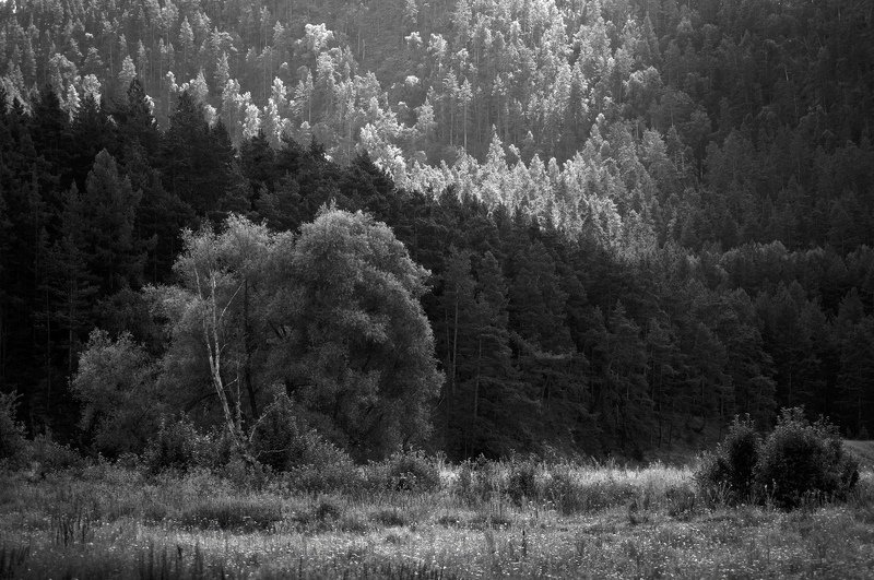 ... фото превью