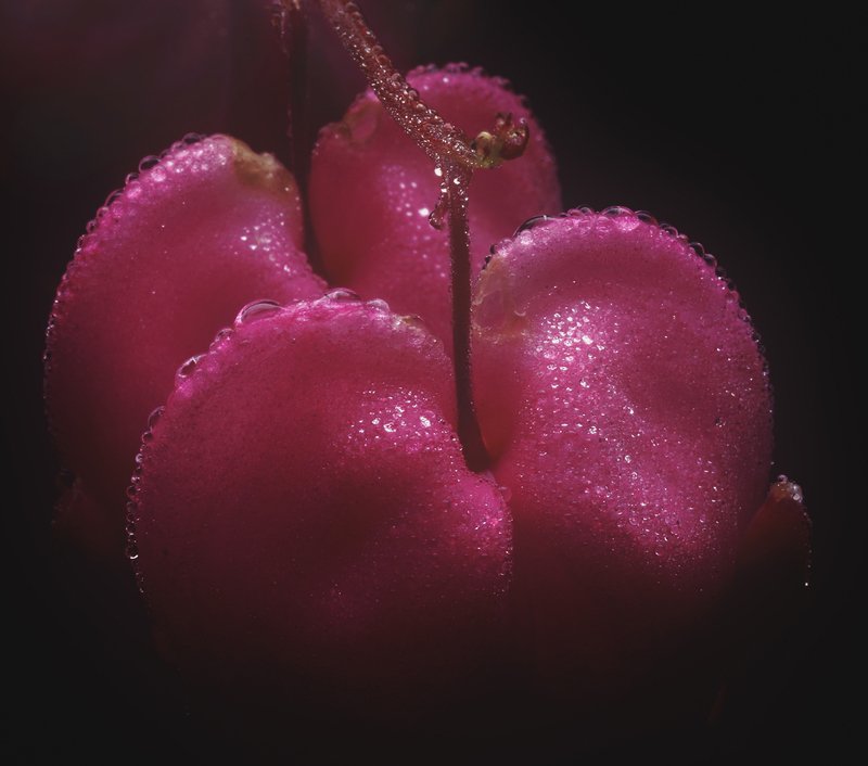 Разбитое сердце *** фото превью