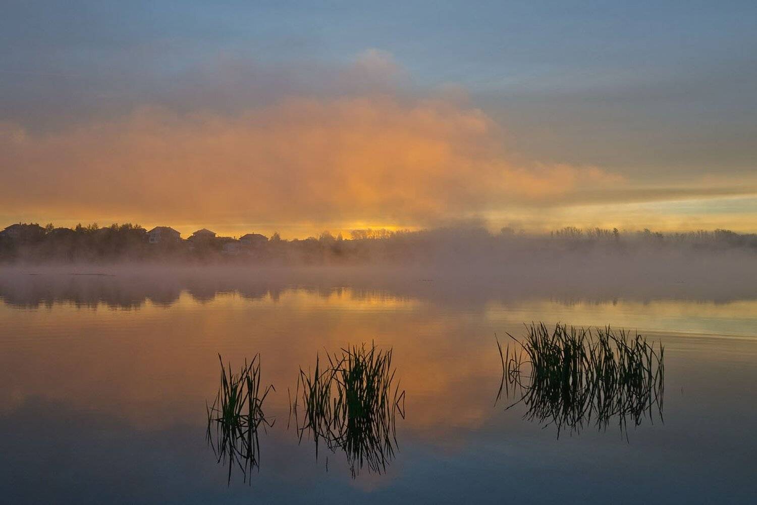утро, рассвет, туман, пейзаж, архангельское, Михаил Агеев