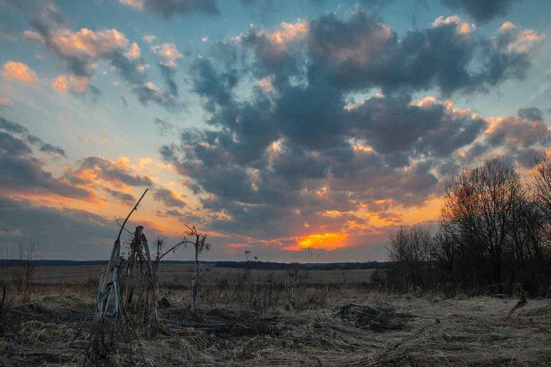За пару часов до поджига травы фото превью