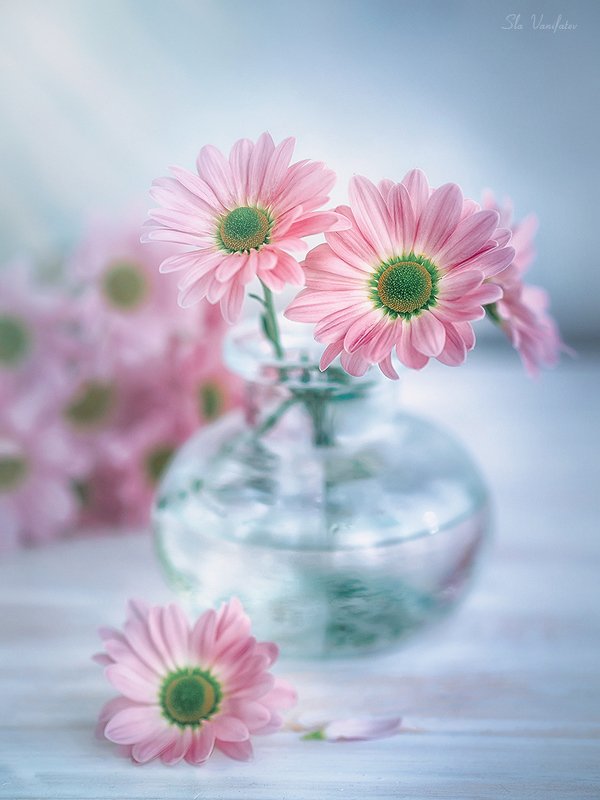 Весеннее ... фото превью