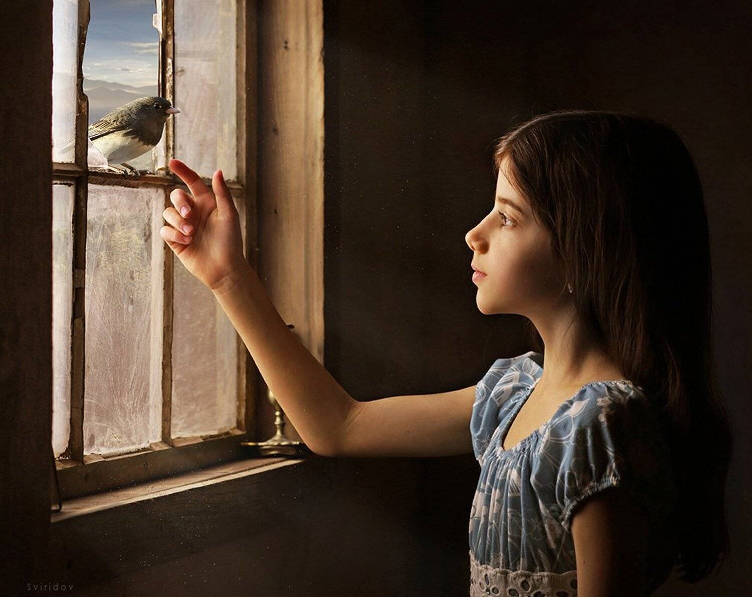 bird Girl portrait , Alexander Sviridov