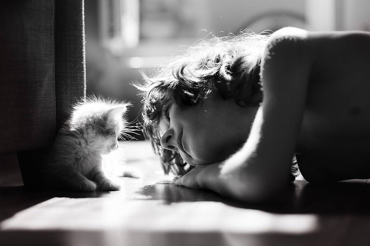 , Елена Галицкая