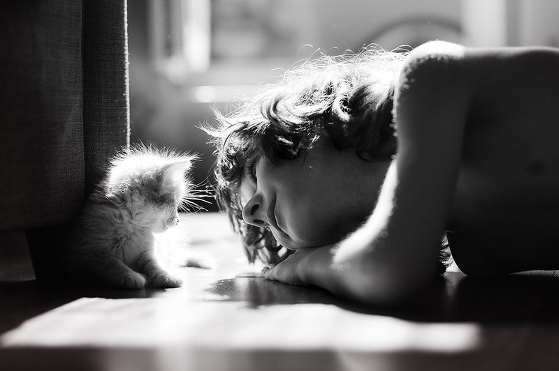 * фото превью