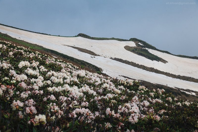 Весна в горах фото превью