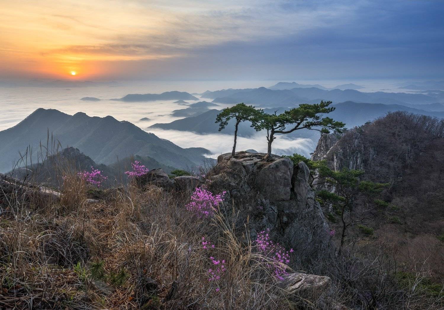 mountains,rocks,clouds,mountain,range,peak,hiking,fog,rugged,foggy,spring, pine, Jaeyoun Ryu