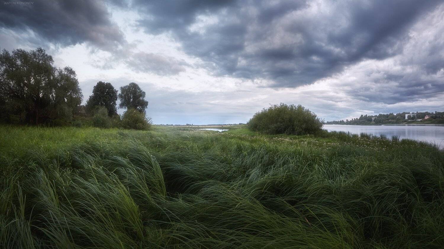 , Антон Кононов