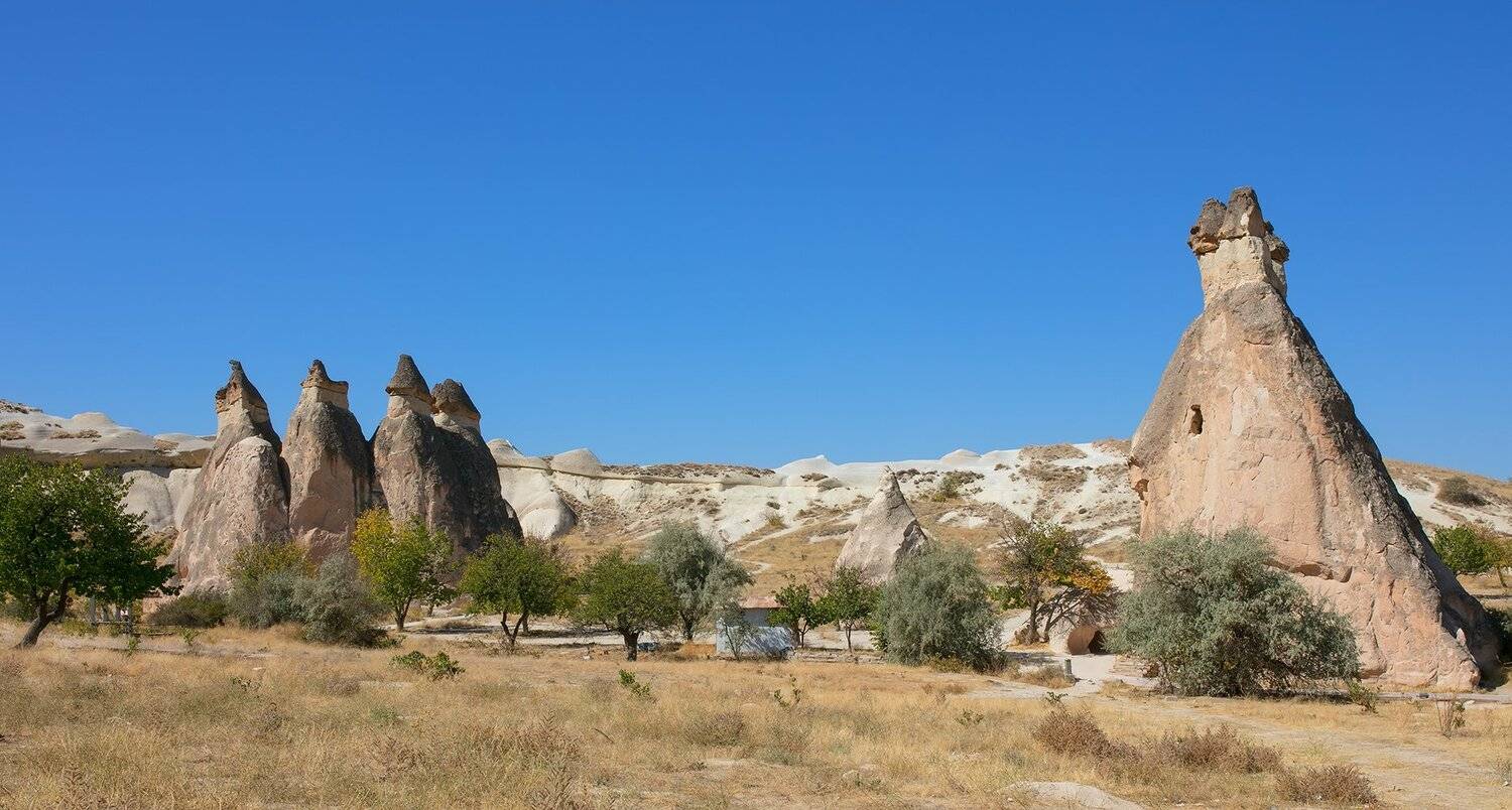 , Игорь Дубровский