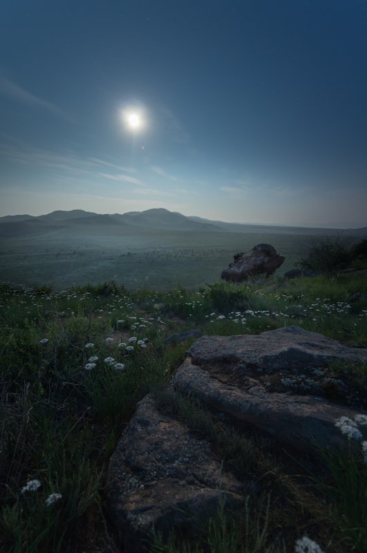Stone skywatcher. фото превью