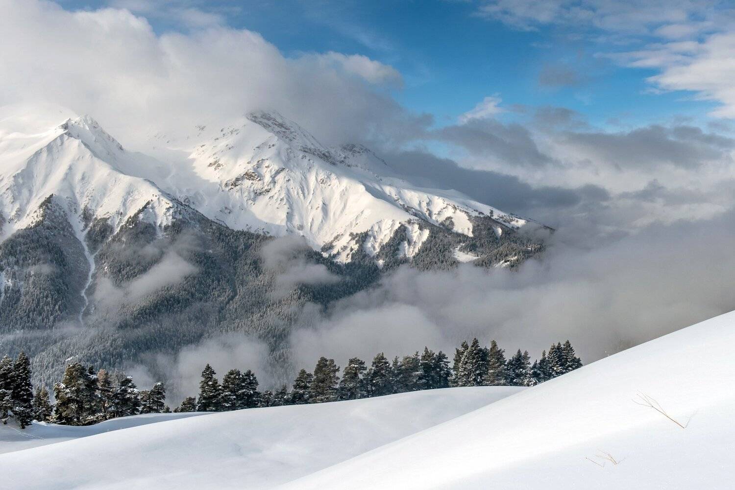 , Митя Андреев