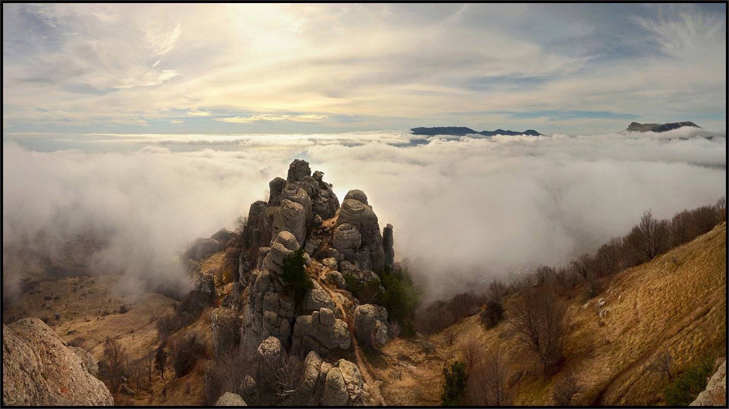 , Владимир Метцгер