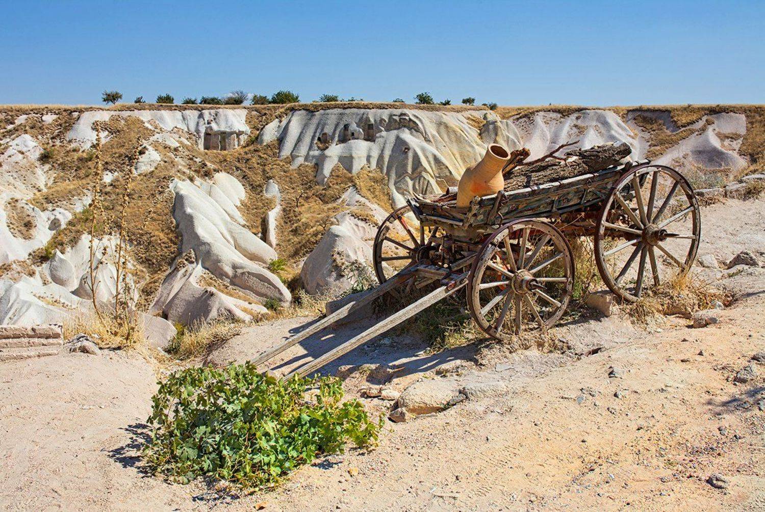 , Игорь Дубровский