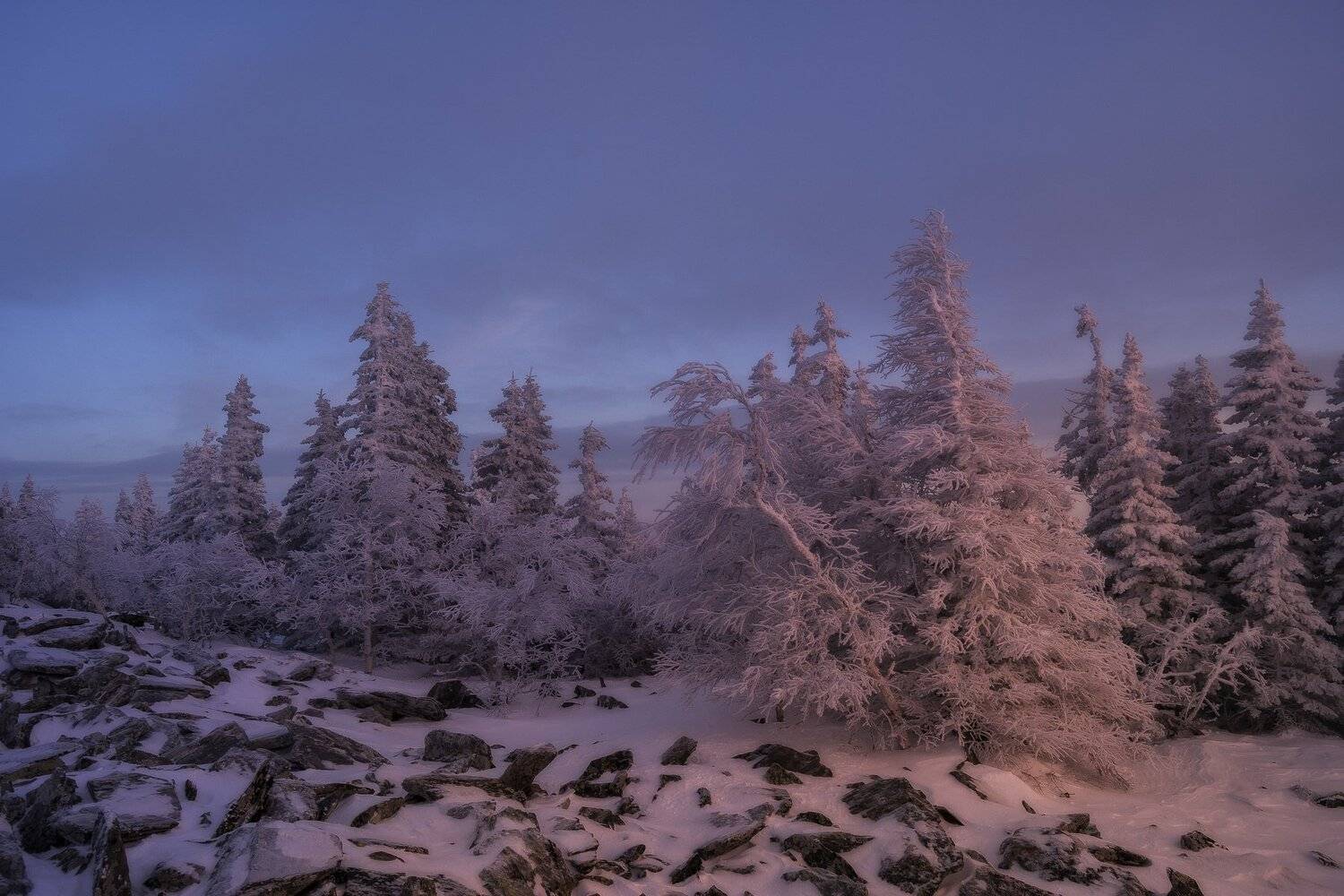 , Андрей Шарапов
