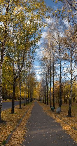 Осенняя аллея