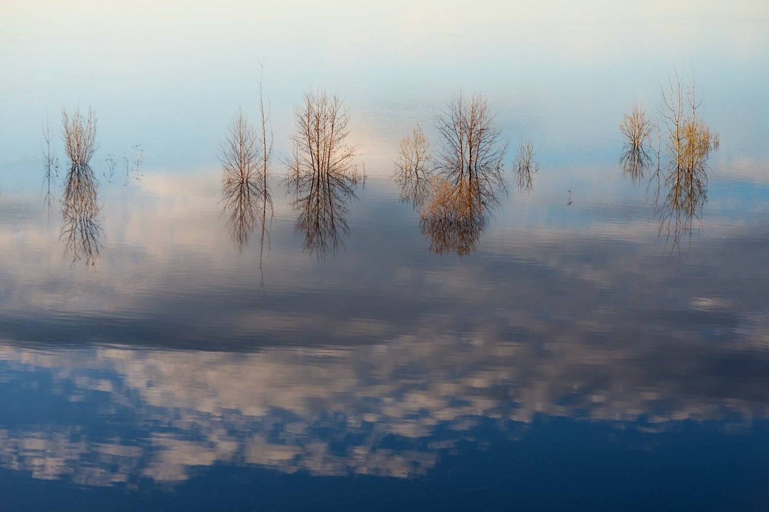 , Крицак Ольга