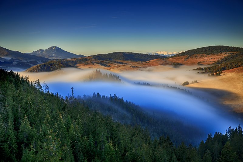 Fiat Lux Slovakia фото превью