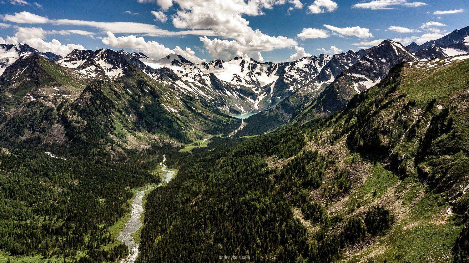 , Андрей Кельс