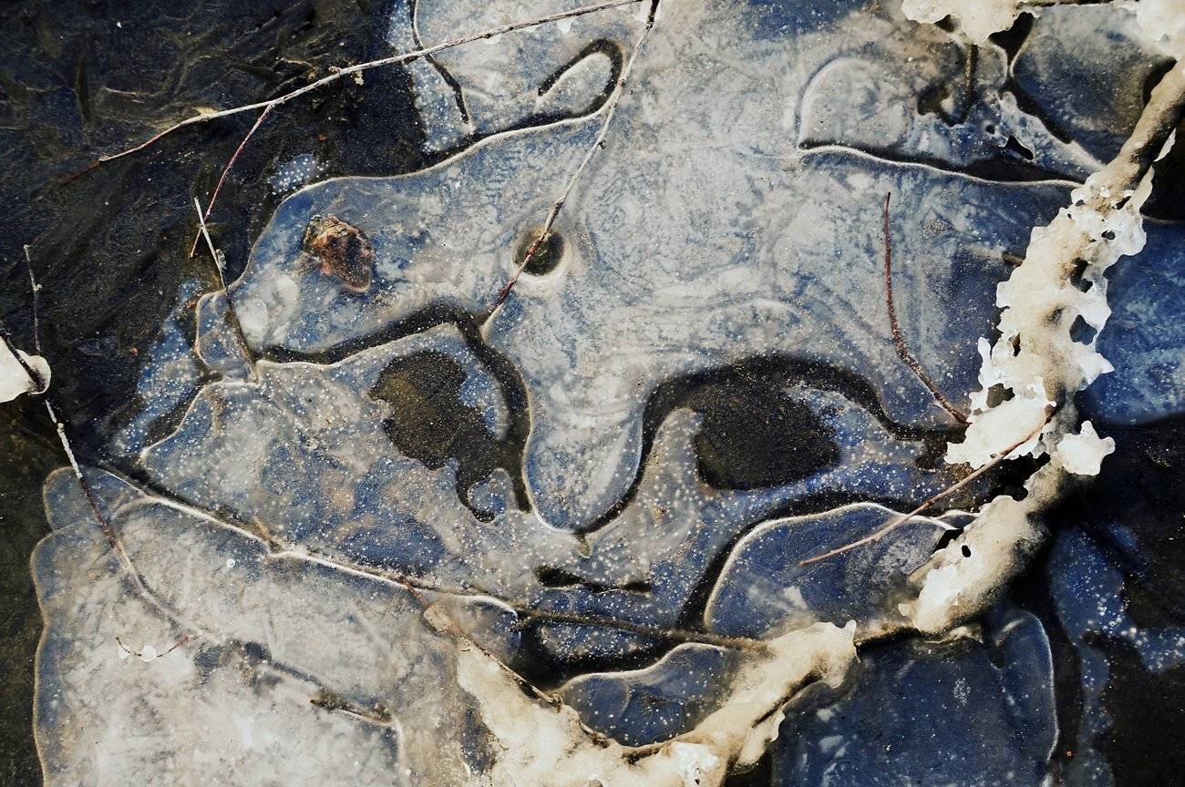 pareidolia, ПОЛУЕВ ИЛЬЯ