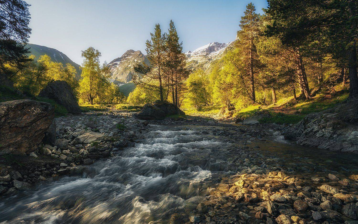 , Олег Дунаев