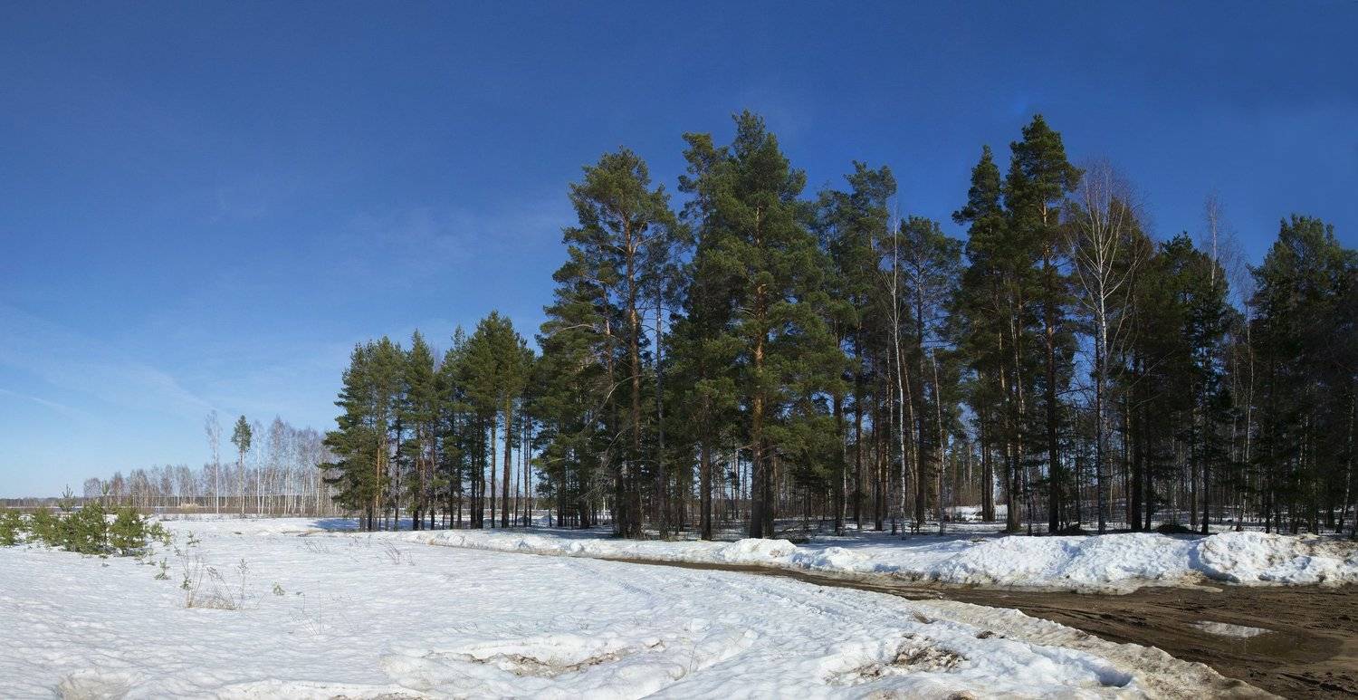 , Герман Корнилов