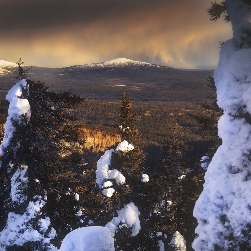 Зимние контрасты фото превью