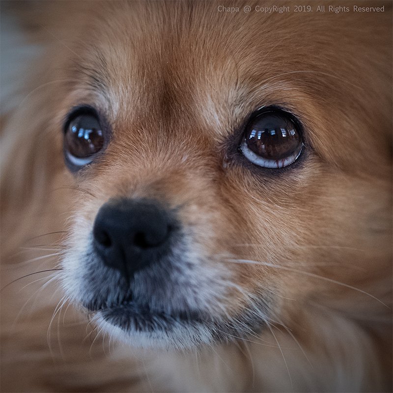 Приходи... фото превью