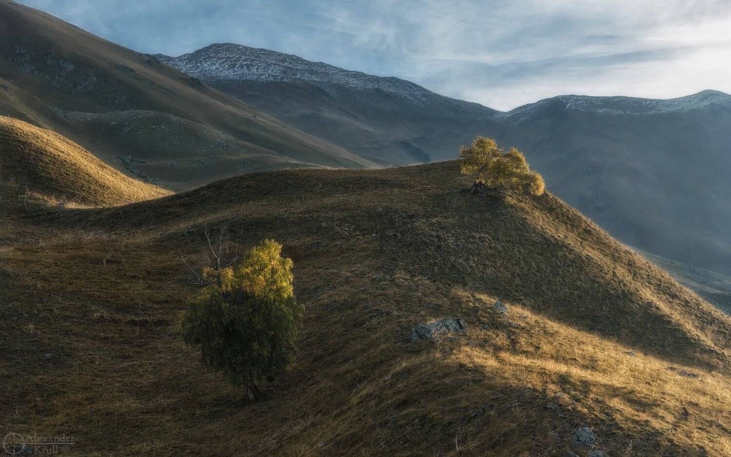 , Александр Круль