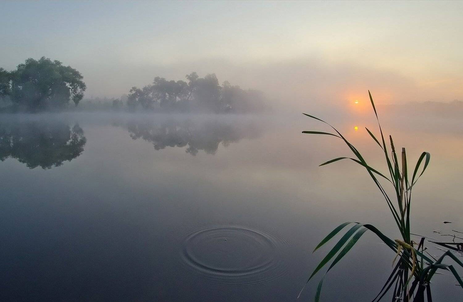 утро, рассвет, пейзаж, большие байдики, Михаил Агеев