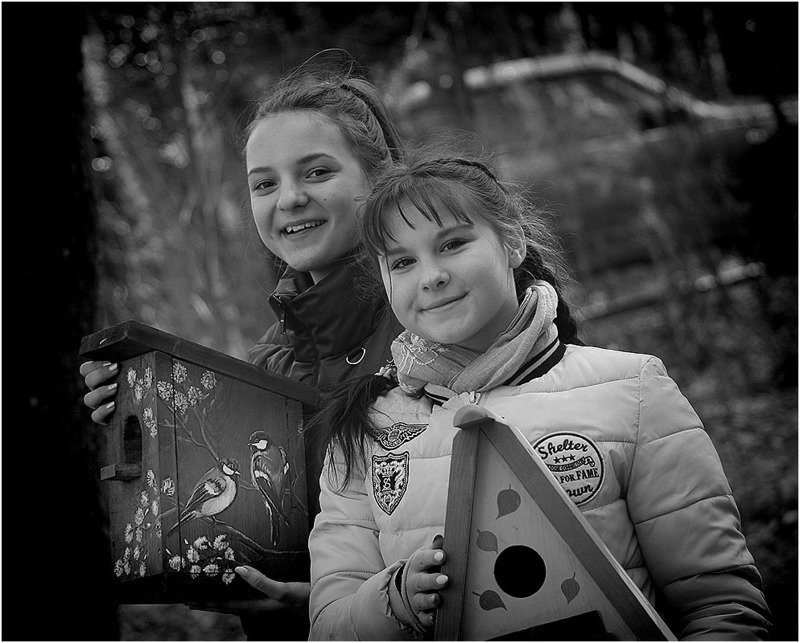 дети Домики фото превью