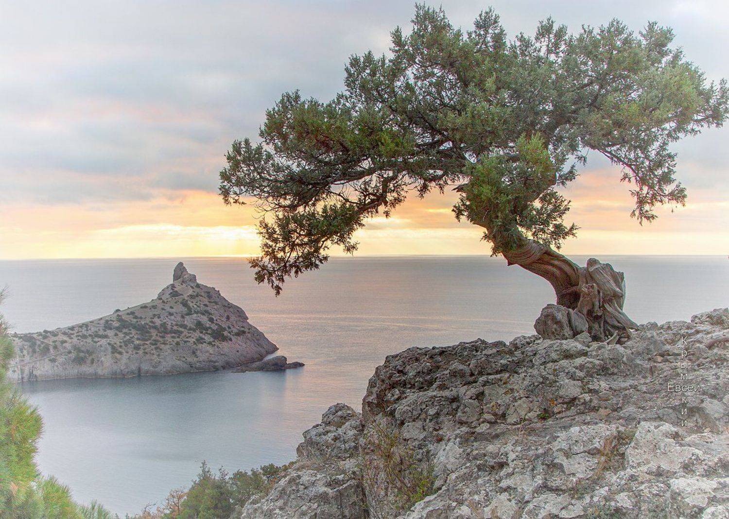 , Борис Костарев