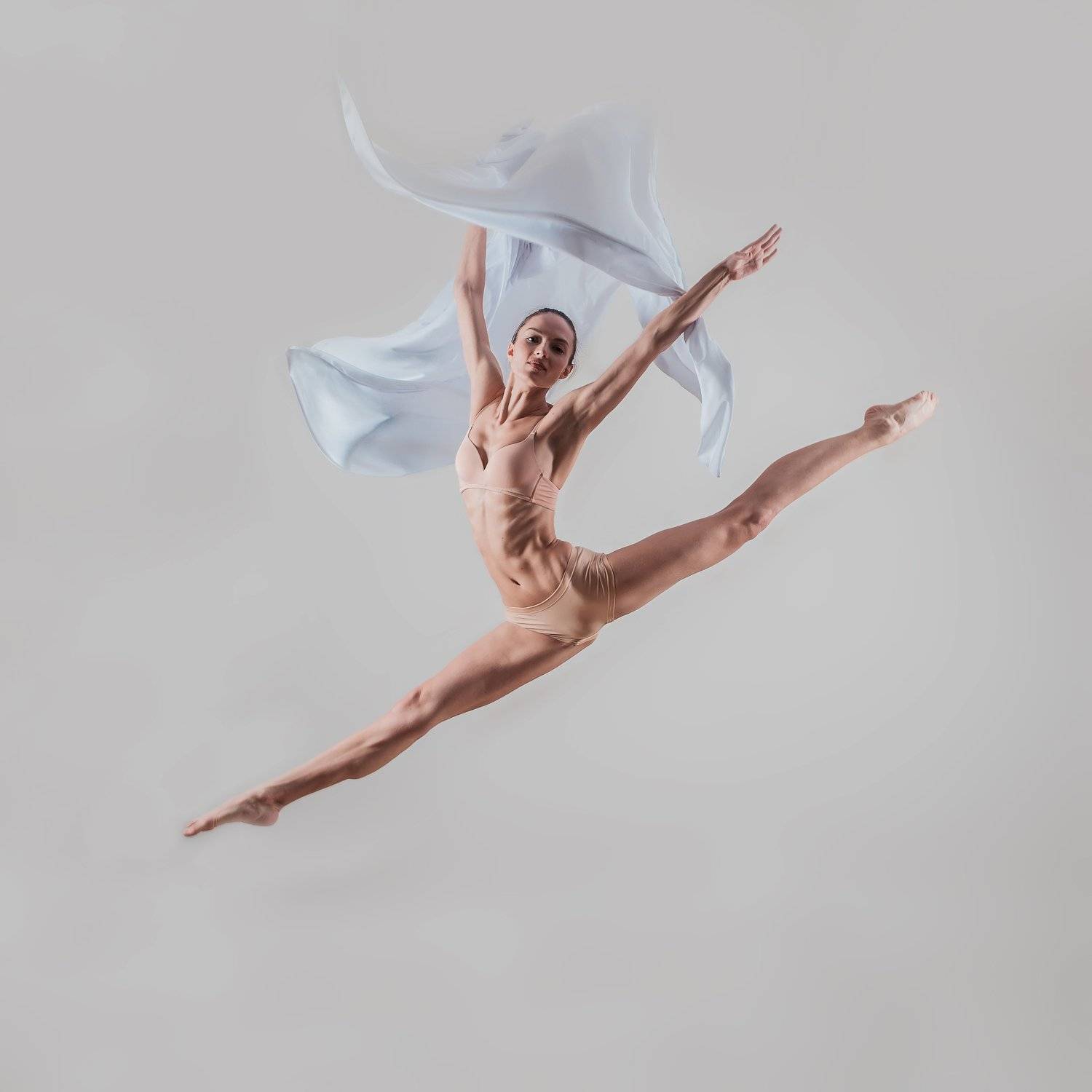 , Терра Алена