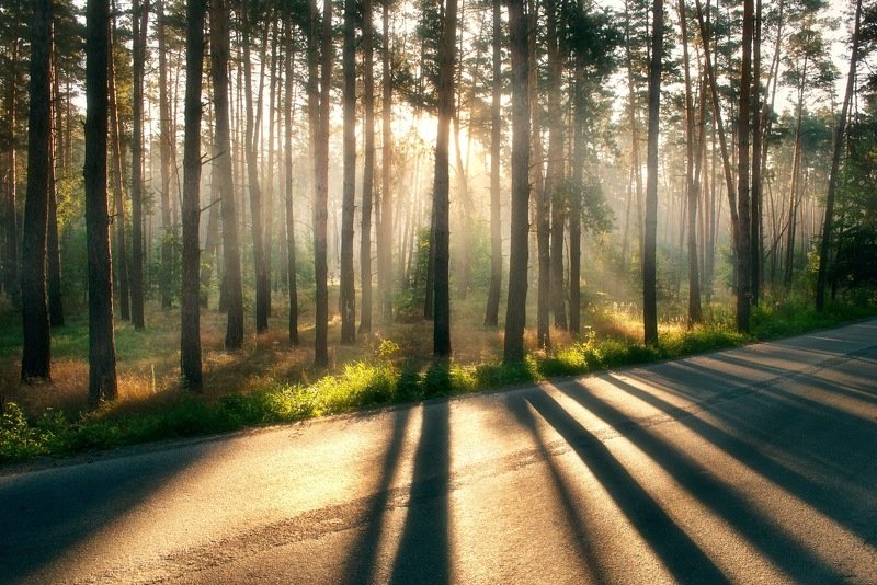 Ранним утром фото превью