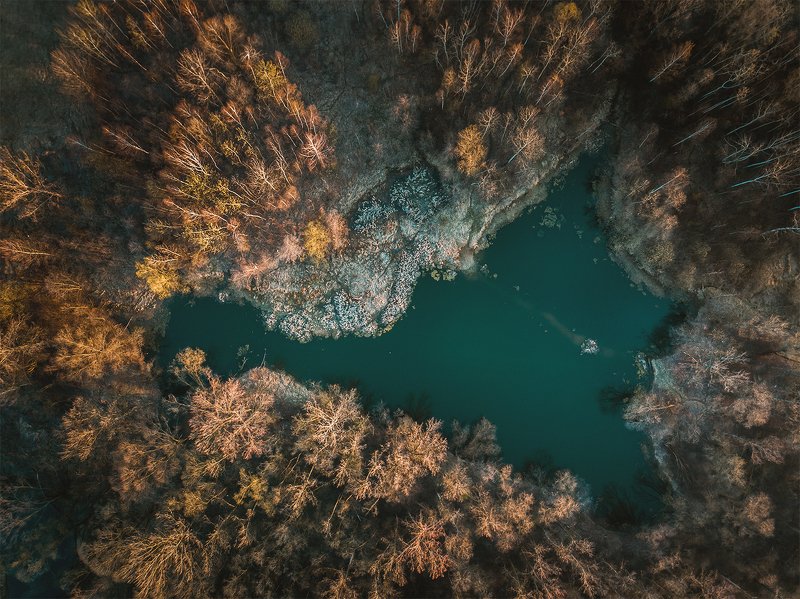 landscape,, dji mavic pro, trees, pond, lake  фото превью