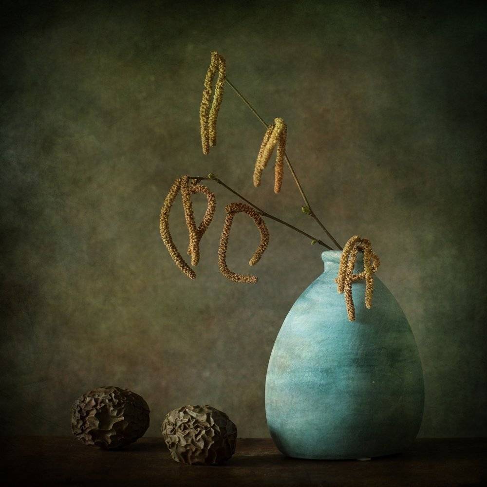still life with maracuje and hazel. Автор: Iwona , Iwona