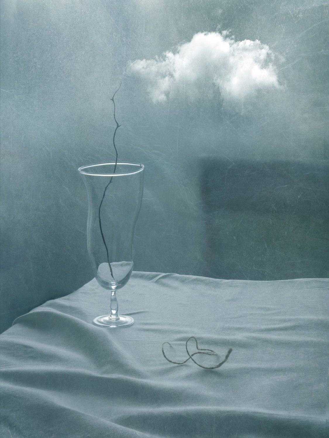 , Елена Лысенко