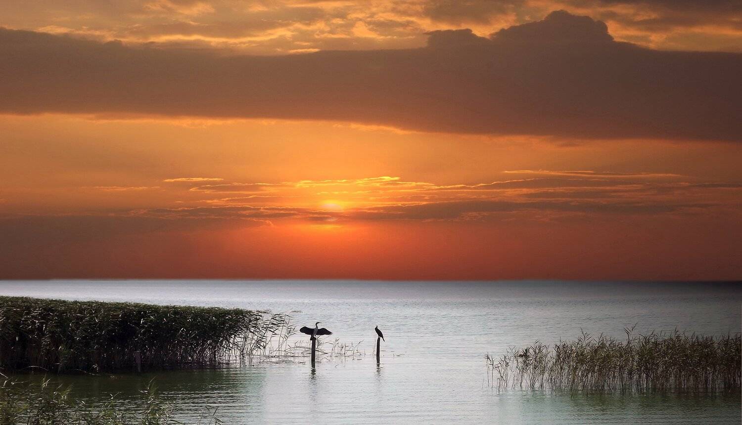 одесса, Сергей Кошелев