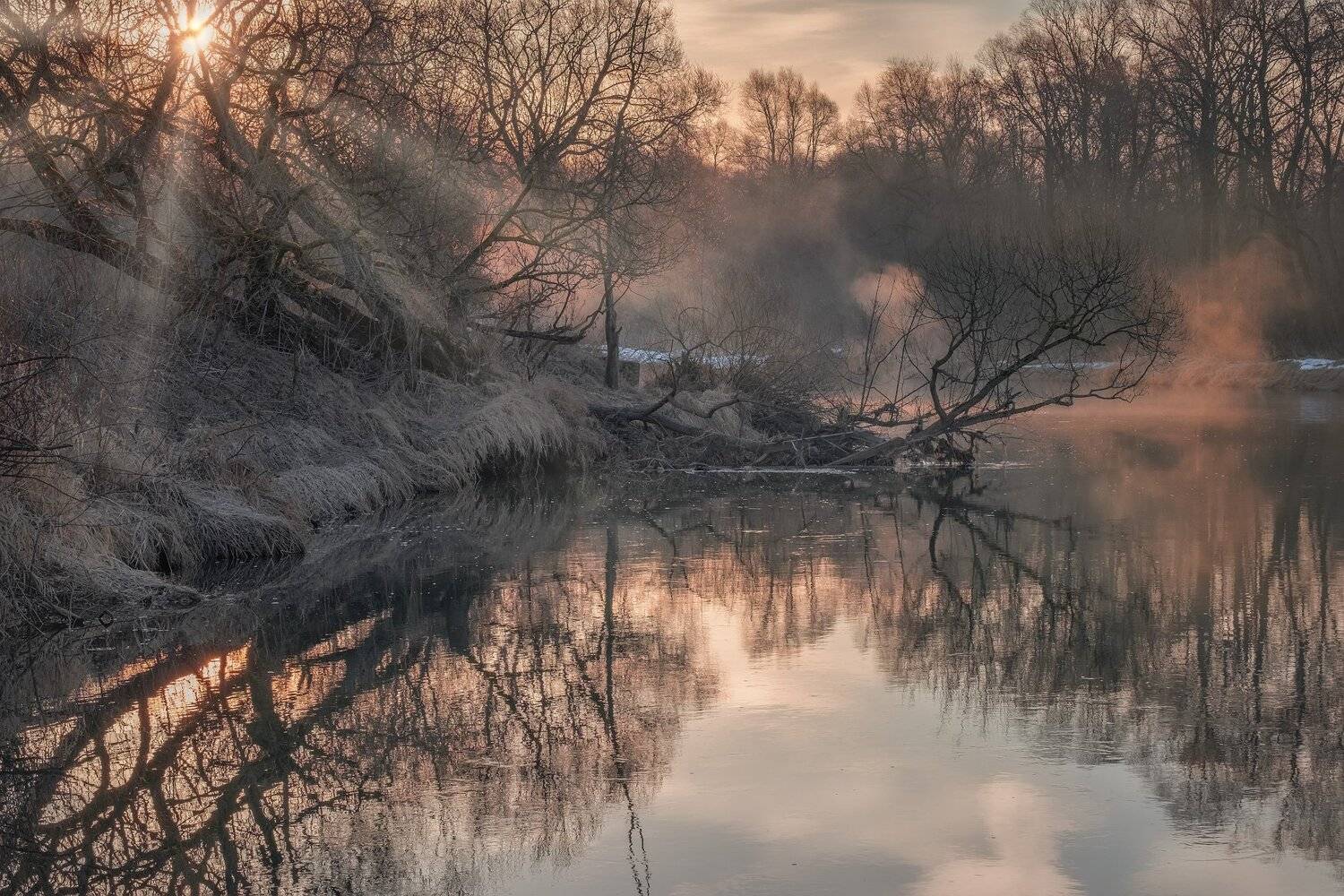 истра, река, вода, отражения, март, тепло, рассвет, солнце, деревья, ветки, туман, Андрей Чиж