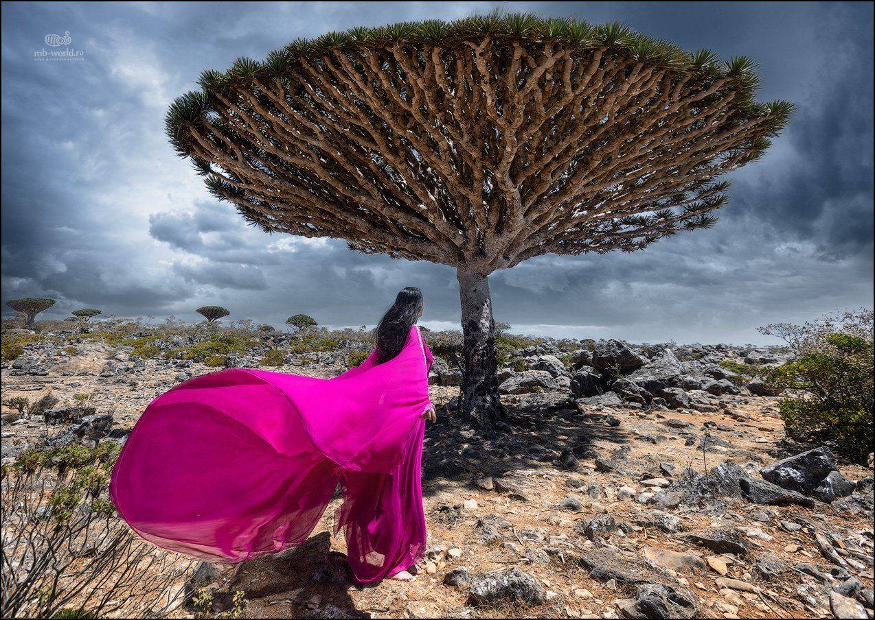 Йемен, Сокотра, пейзаж, Mikhail Vorobyev