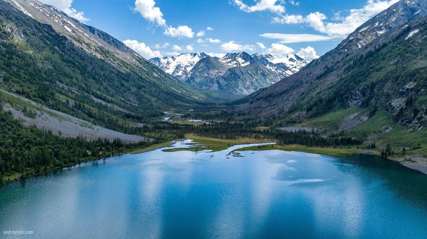 , Андрей Кельс