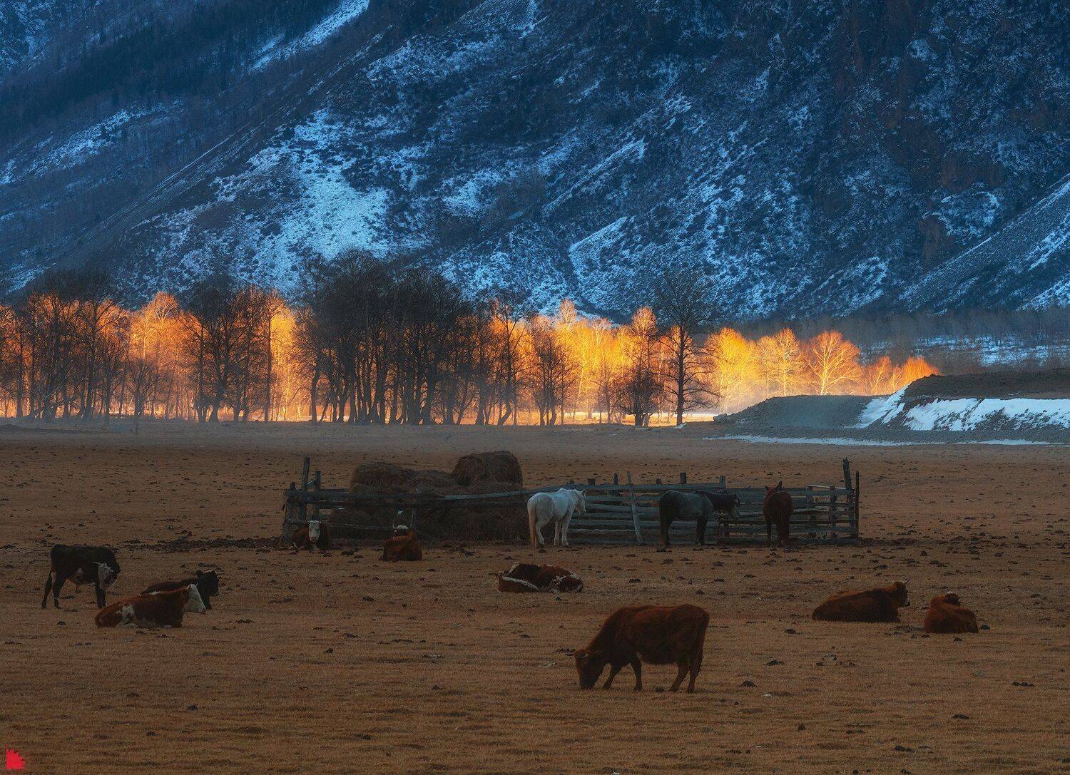 , Осипов Ёжъ Александр