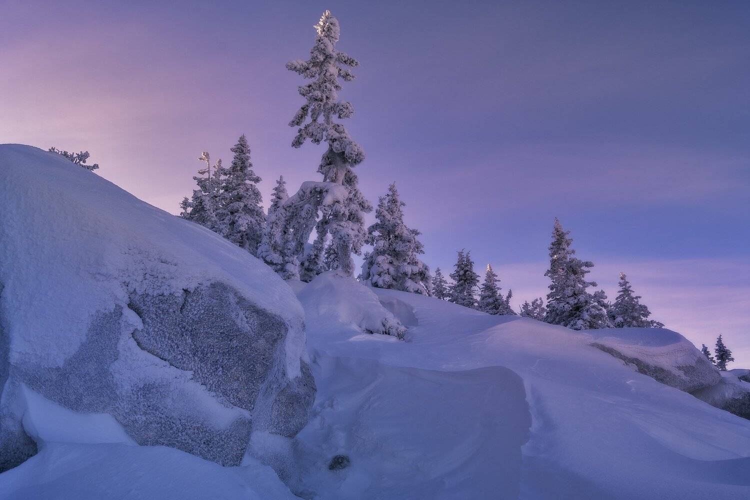 , Андрей Шарапов