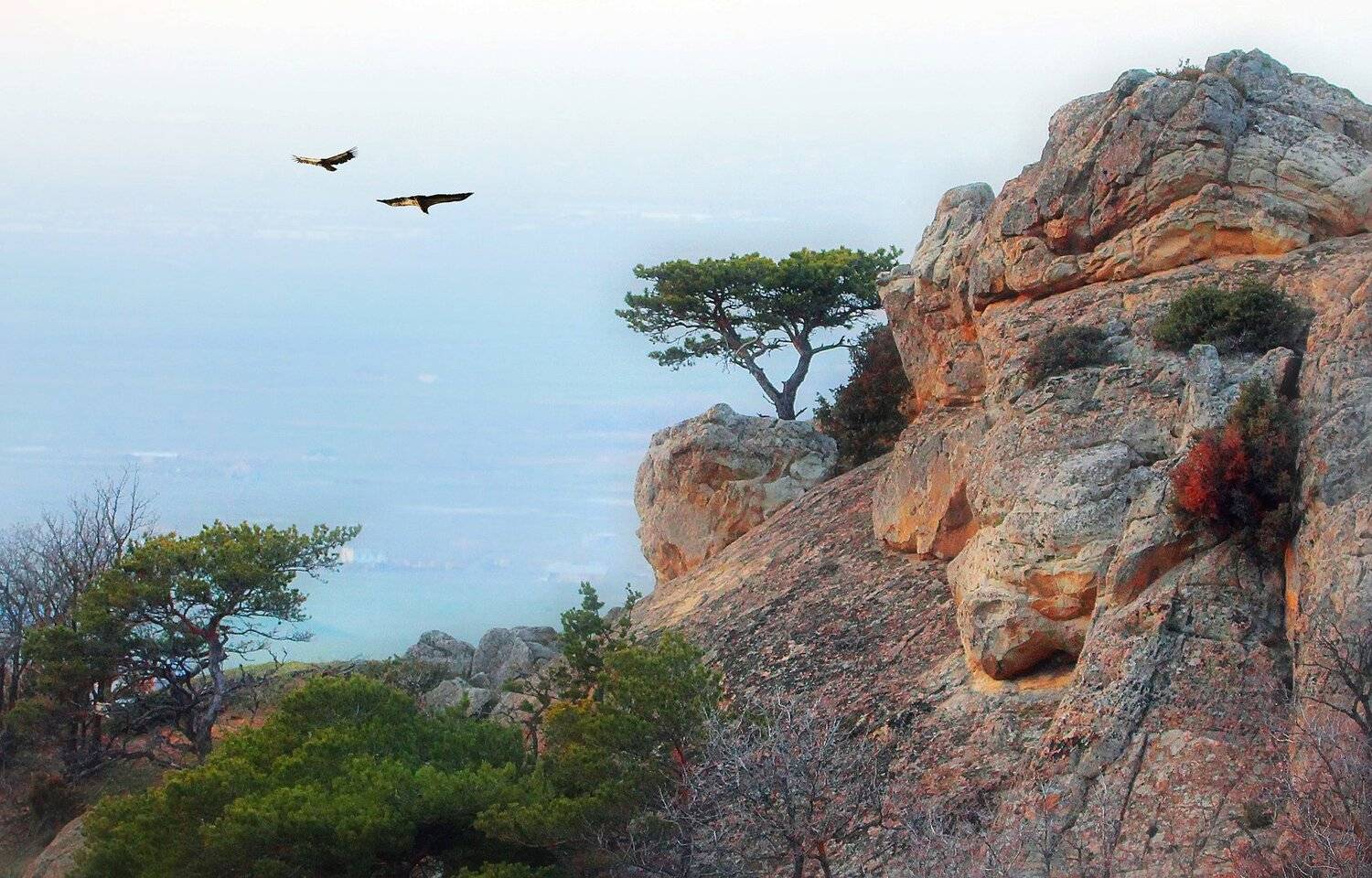 горы,весна,пейзаж, Marat Magov