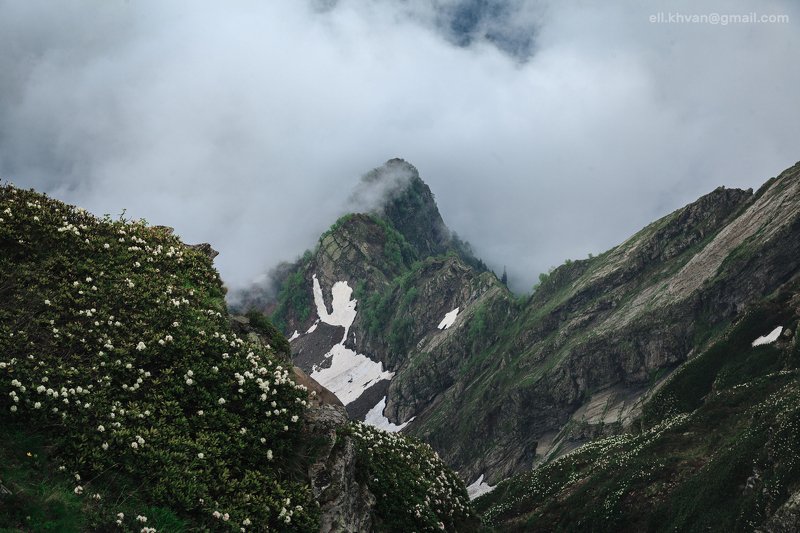 Весна в горах фото превью