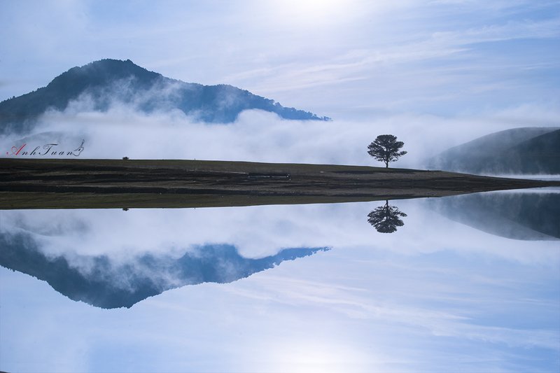 Alone фото превью
