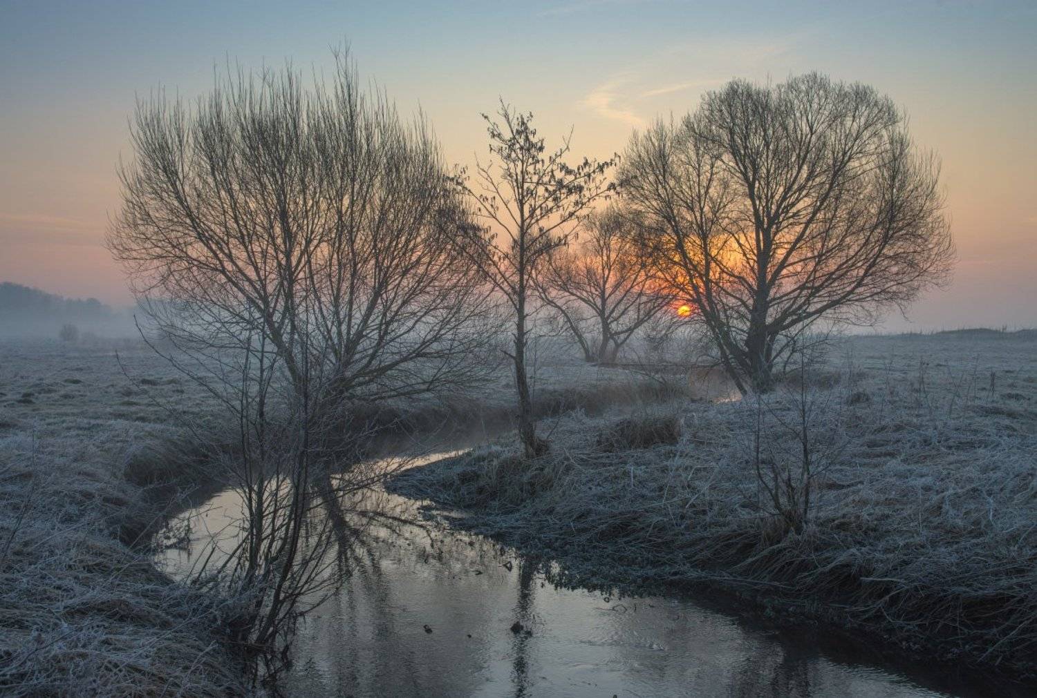 , Сергей Добровольский